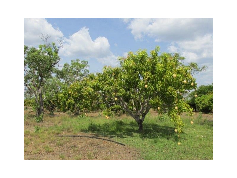 625 Leonino Road, Fly Creek NT 0822