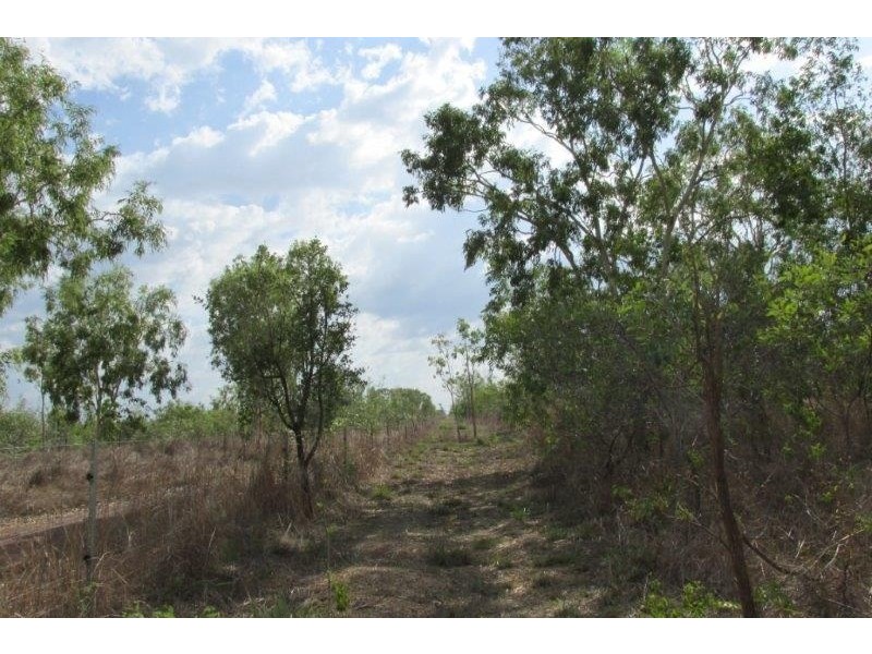 727 Reed Beds Road, Darwin River NT 0841