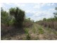 727 Reed Beds Road, Darwin River NT 0841