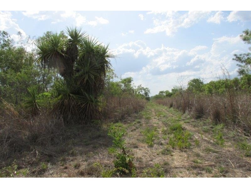 727 Reed Beds Road, Darwin River NT 0841