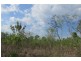 727 Reed Beds Road, Darwin River NT 0841