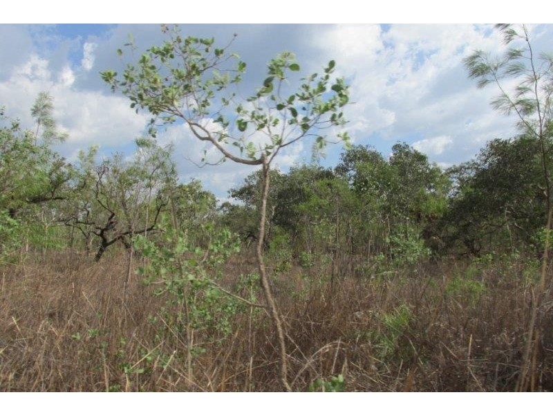 727 Reed Beds Road, Darwin River NT 0841