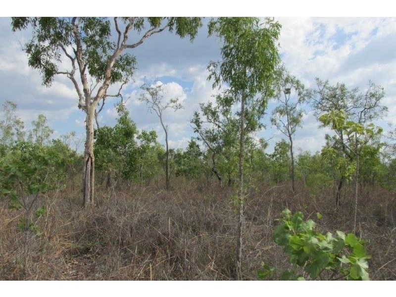 727 Reed Beds Road, Darwin River NT 0841