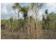 727 Reed Beds Road, Darwin River NT 0841