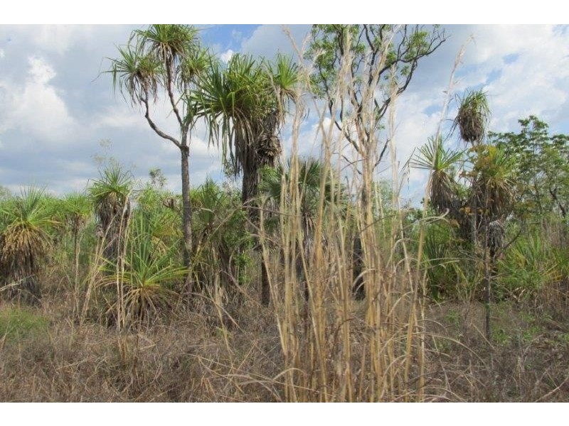 727 Reed Beds Road, Darwin River NT 0841