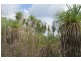727 Reed Beds Road, Darwin River NT 0841