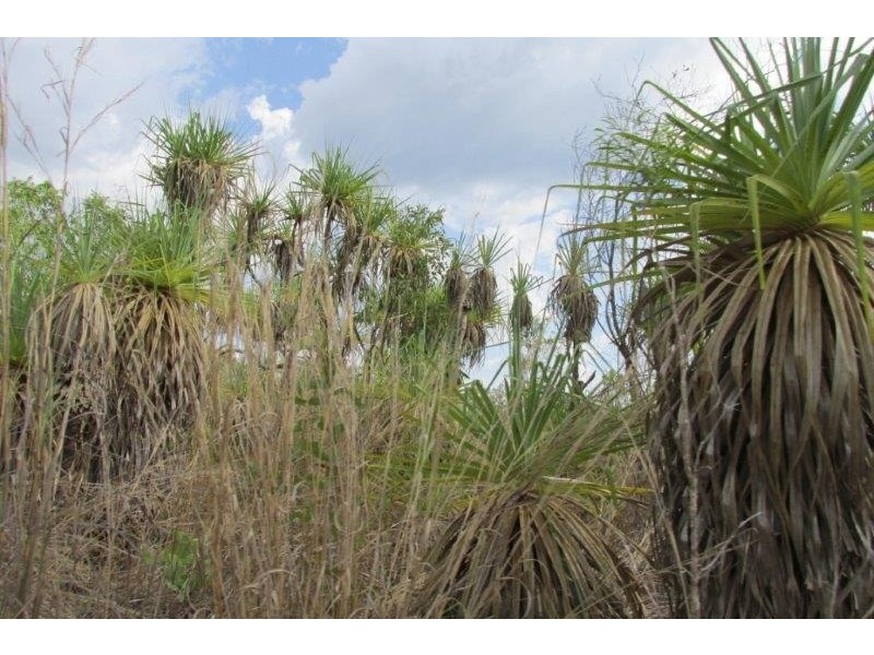 727 Reed Beds Road, Darwin River NT 0841