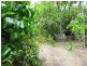 126 Redgum Drive, Humpty Doo NT 0836