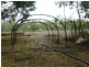 126 Redgum Drive, Humpty Doo NT 0836