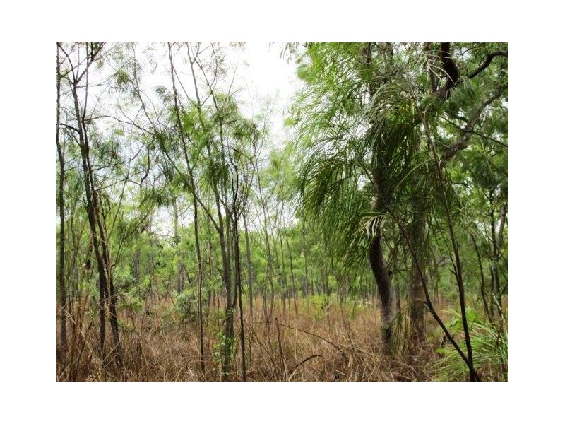 126 Redgum Drive, Humpty Doo NT 0836