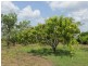 625 Leonino Road, Fly Creek NT 0822