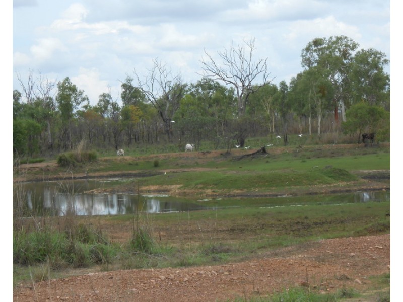 Batchelor NT 0845
