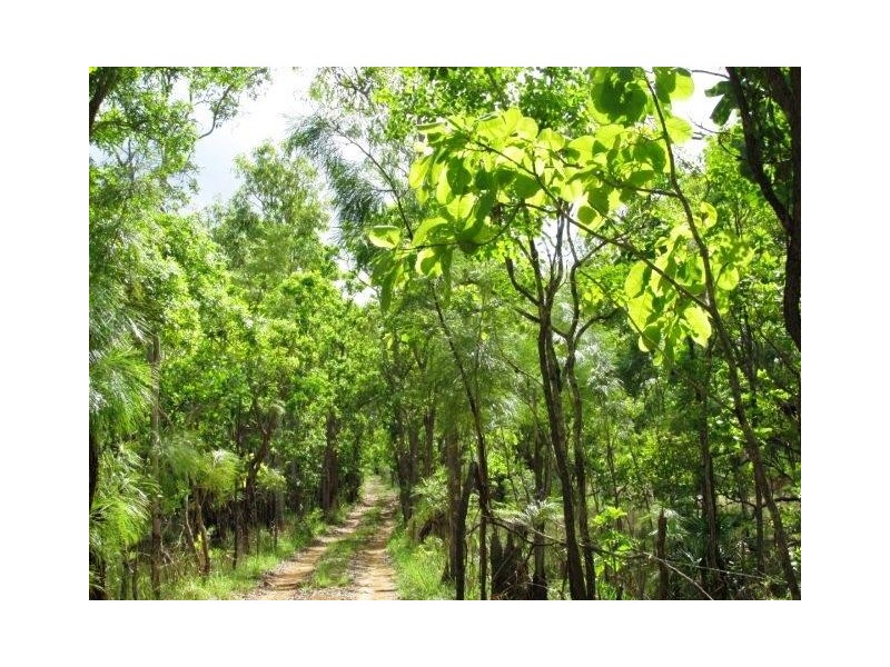 585 Parkin Road, Fly Creek NT 0822