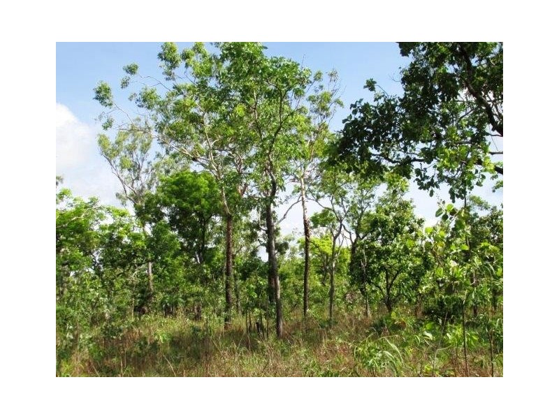 585 Parkin Road, Fly Creek NT 0822