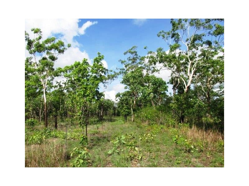 585 Parkin Road, Fly Creek NT 0822