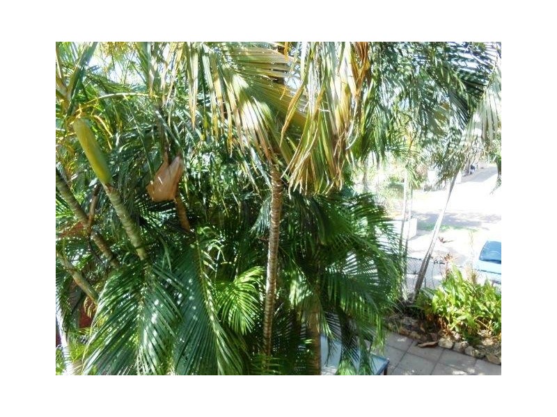 5/40 Kurrajong Crescent, Nightcliff NT 0810