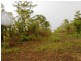 868 Peacock Road, Darwin River NT 0841