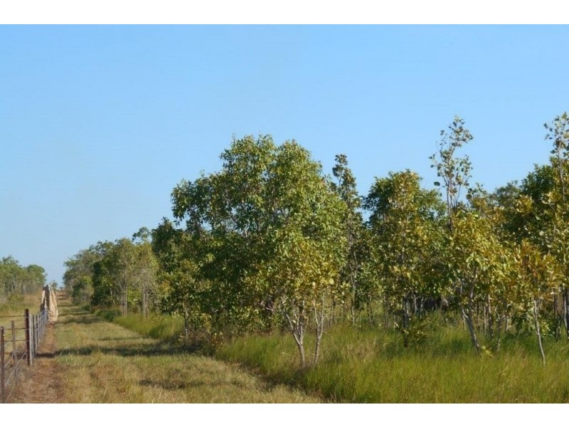 868 Peacock Road, Darwin River NT 0841