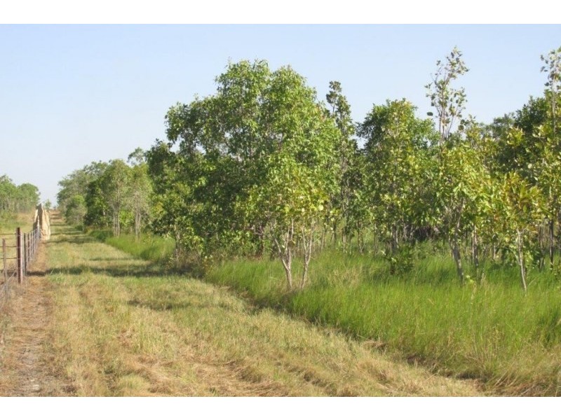 868 Peacock Road, Darwin River NT 0841