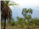 868 Peacock Road, Darwin River NT 0841