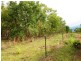 868 Peacock Road, Darwin River NT 0841