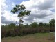 Batchelor NT 0845
