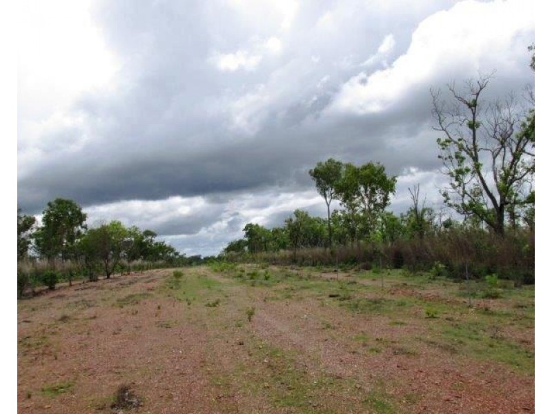 Batchelor NT 0845