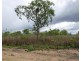 Batchelor NT 0845