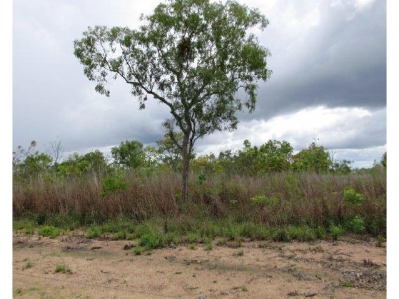 Batchelor NT 0845