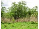 Batchelor NT 0845