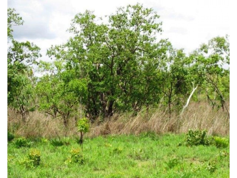 Batchelor NT 0845