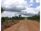 Batchelor NT 0845