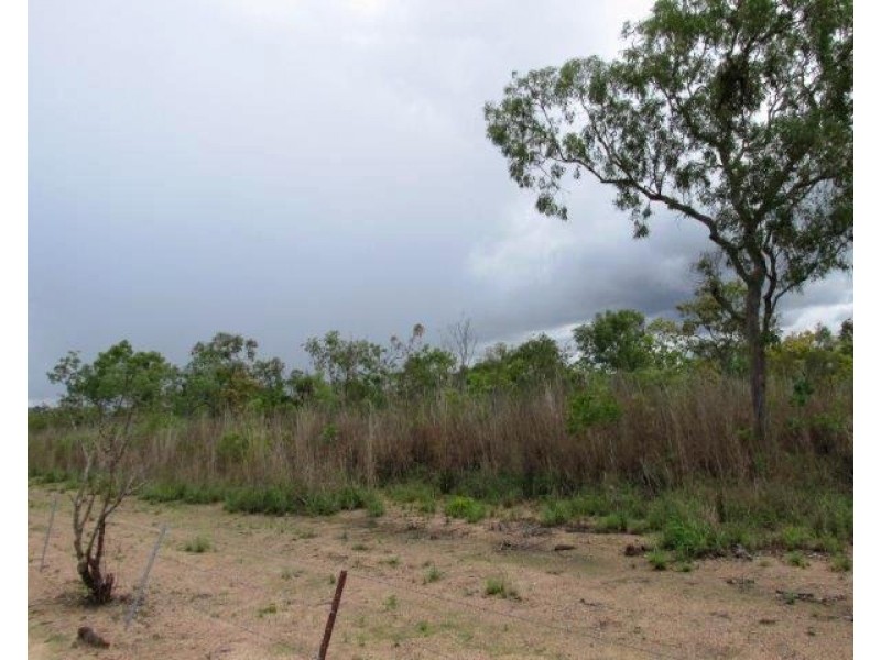 Batchelor NT 0845