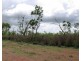 Batchelor NT 0845