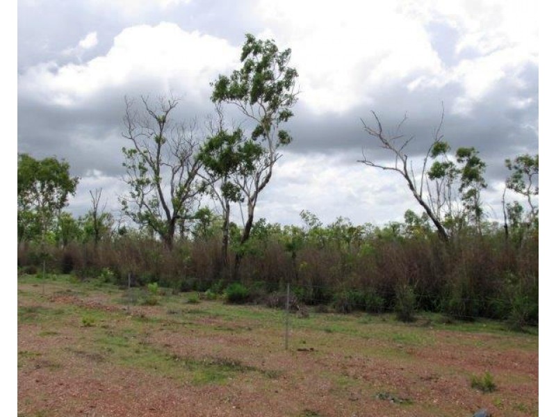 Batchelor NT 0845