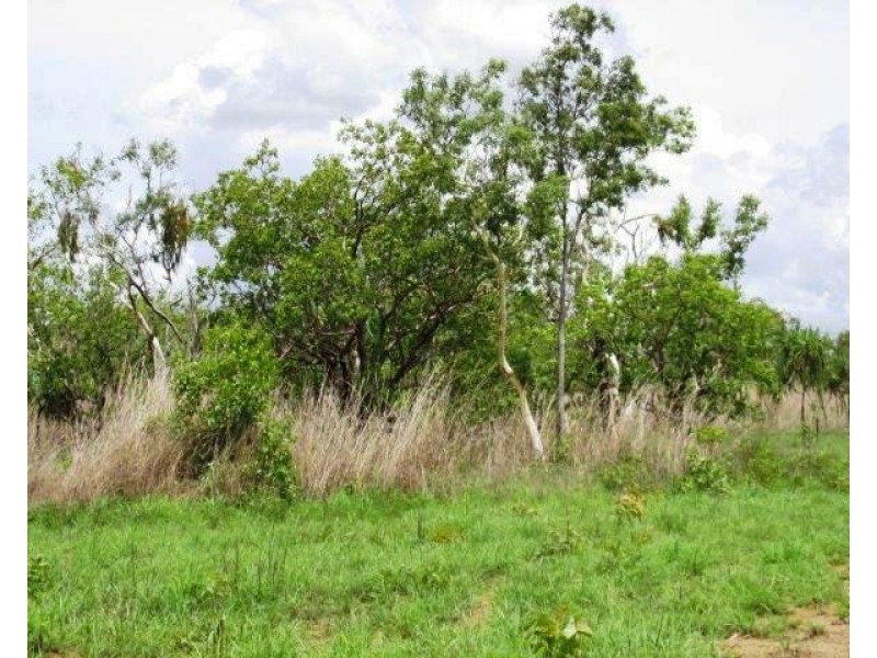 Batchelor NT 0845