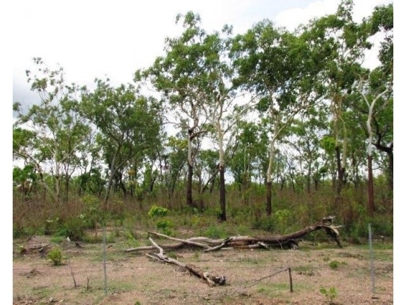 Batchelor NT 0845