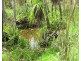 Batchelor NT 0845