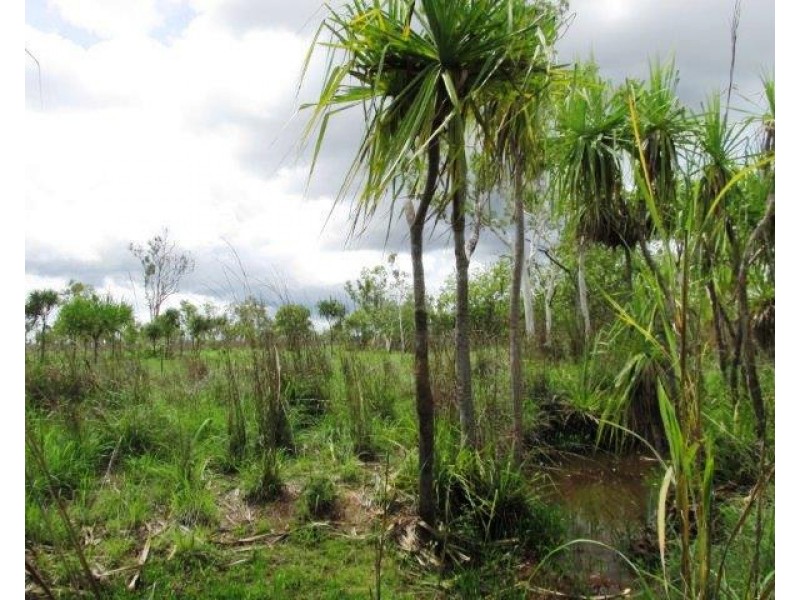 Batchelor NT 0845