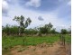 Batchelor NT 0845