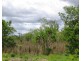 Batchelor NT 0845