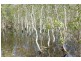 100 Maritana Road, Dundee Beach NT 0840