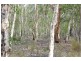 100 Maritana Road, Dundee Beach NT 0840