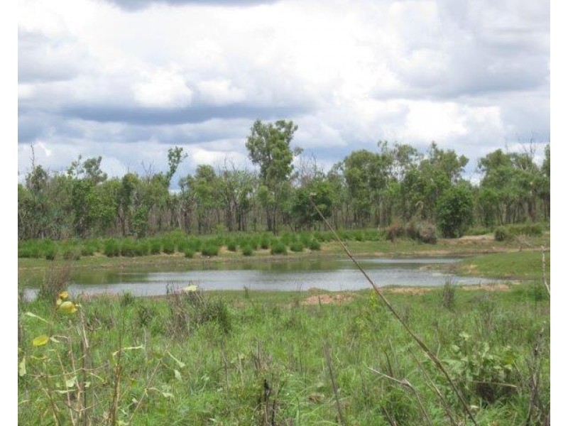 Batchelor NT 0845