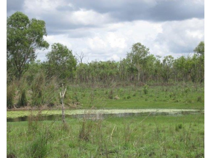 Batchelor NT 0845