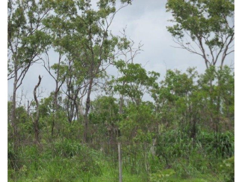 Batchelor NT 0845