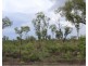 Batchelor NT 0845