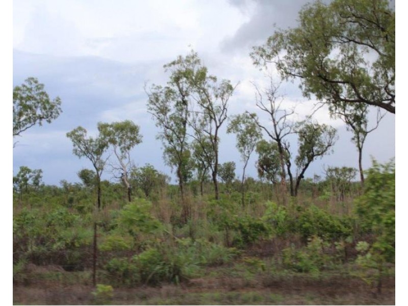 Batchelor NT 0845