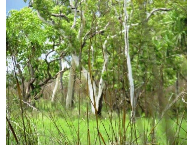 Batchelor NT 0845