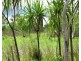 Batchelor NT 0845